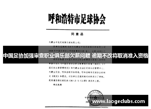 中国足协加强审查职业俱乐部欠薪问题 逾期不改将取消准入资格