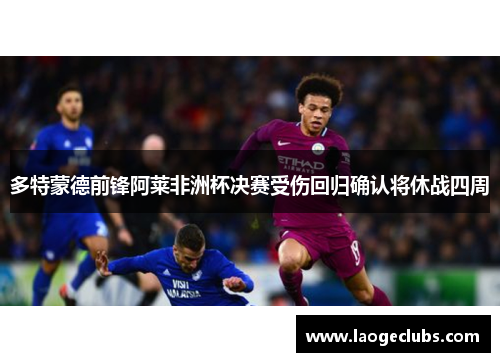 多特蒙德前锋阿莱非洲杯决赛受伤回归确认将休战四周