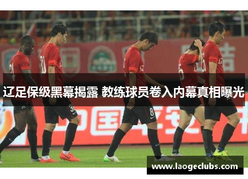 辽足保级黑幕揭露 教练球员卷入内幕真相曝光 辽足保级黑幕揭露 教练球员卷入内幕真相曝光